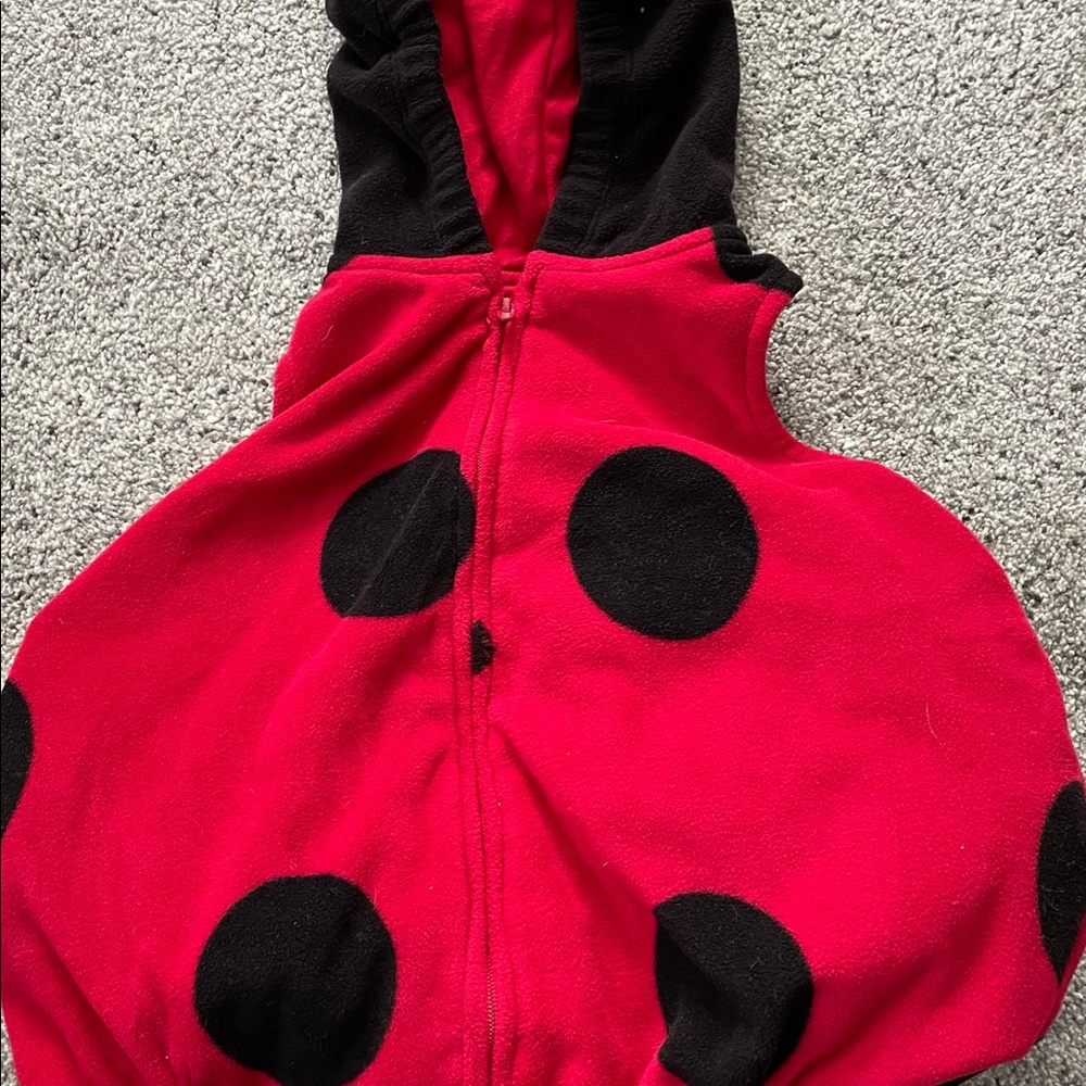 Carters Ladybug costume 3/6 months